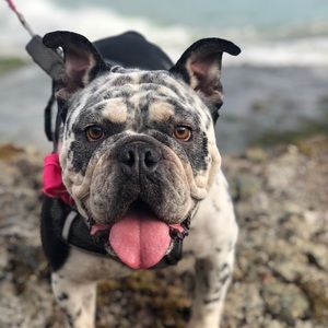 Meet your Posher, Savannah